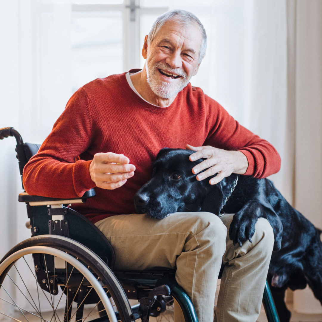 a person in a wheelchair with a dog