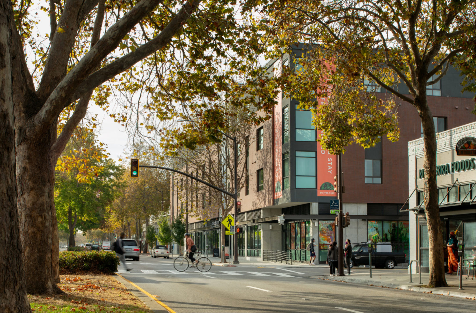 a street with trees and a person riding a bicycle