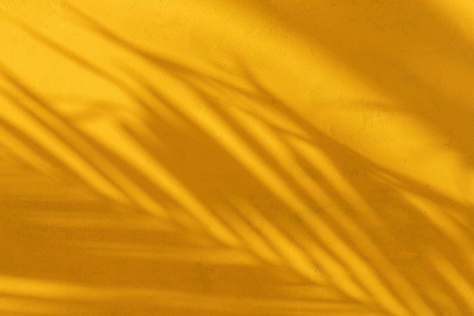 shadows of leaves on a yellow wall