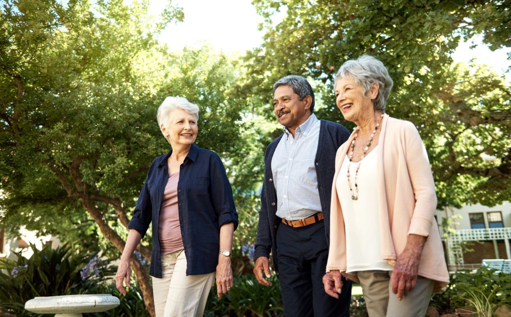 a group of people walking in a park