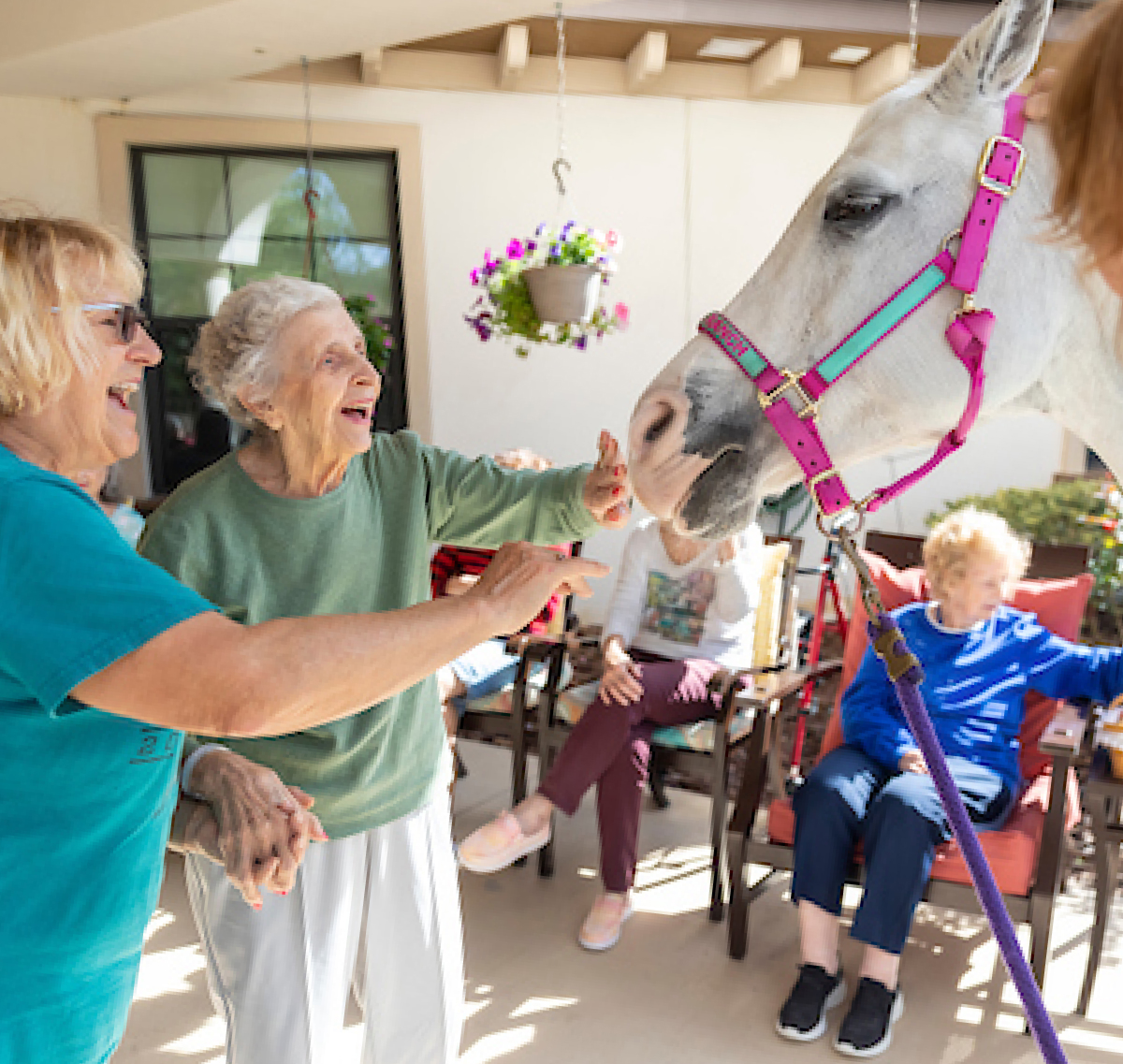 a group of women petting a horse